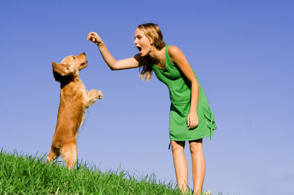 iStock_000004227699XSmall