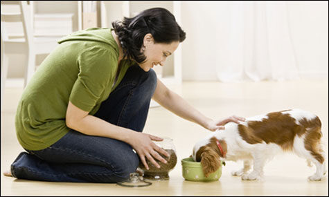 woman-feeding-dog-4560695